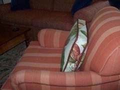 Box pillow cord trim side view 2